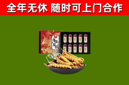 平鲁区烟酒回收冬虫夏草礼盒.jpg